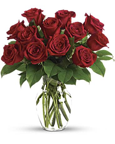 One Dozen Red Roses Short Stemmed