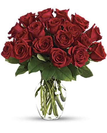 18 Red Roses Short Stemmed